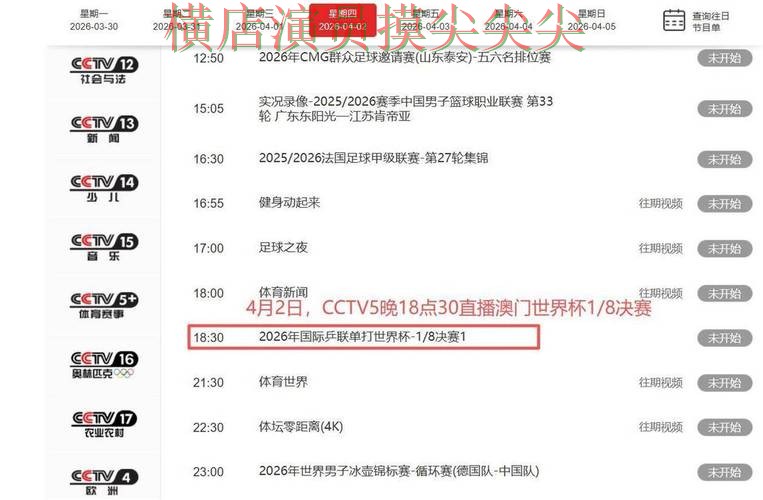 世界杯投注平台盘点：聚焦实时直播与赛事直播体验 - 世界杯官方信息